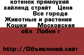 котенок прямоухий  хайленд страйт › Цена ­ 10 000 - Все города Животные и растения » Кошки   . Московская обл.,Лобня г.